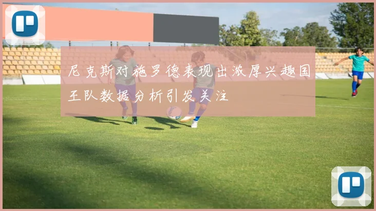 尼克斯对施罗德表现出浓厚兴趣国王队数据分析引发关注